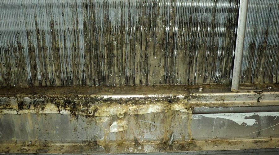 Evaporator Coil Cleaning