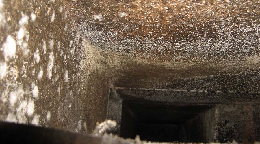 mold in air conditioner sickness