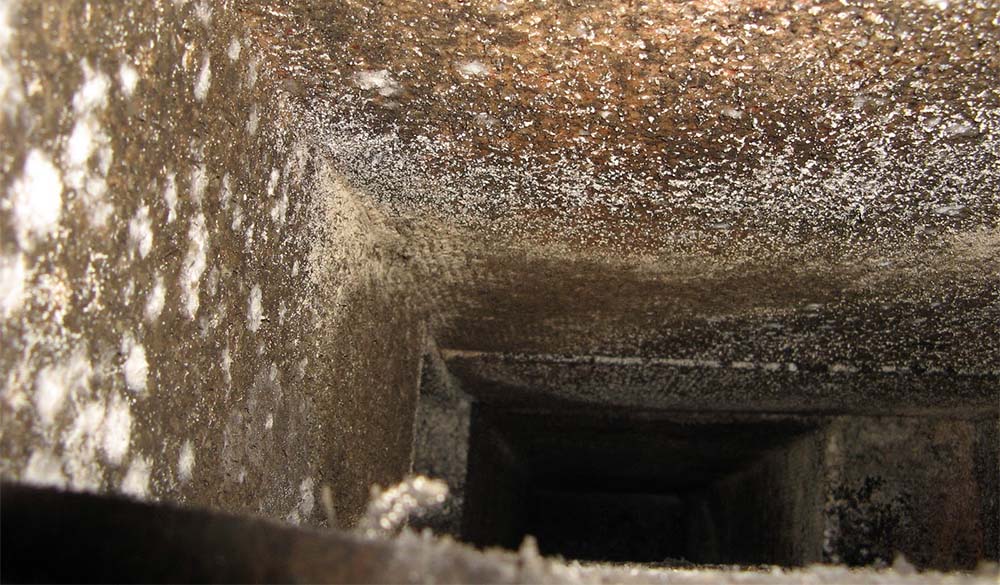 Mold Problems in HVAC Systems Dr Clean Air