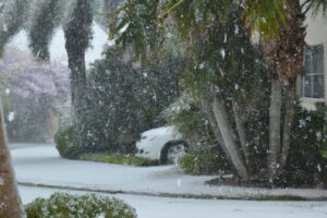 Heavy snowfall in South Florida