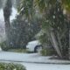 Survival Guide for Floridians in Winter