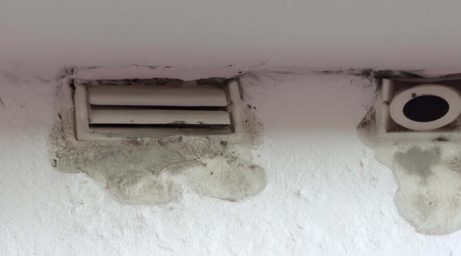 black mold on air vents and walls