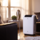 Unbiased REME Halo Air Purifier Home Installation Reviews by All Time Air Conditioning – An Expert Overview